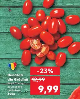 Kaufland Bunătăti din Grădină Ofertă
