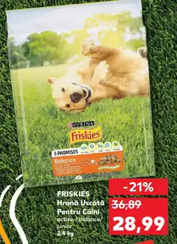 Kaufland FRISKIES Hrană uscată Pentru Câini Ofertă