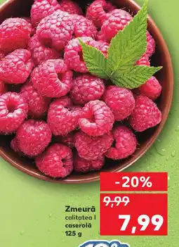 Kaufland Zmeură Ofertă