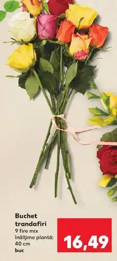 Kaufland Buchet trandafiri Ofertă
