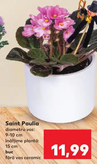 Kaufland Saint Paulia Ofertă
