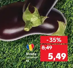 Kaufland Vinete Ofertă