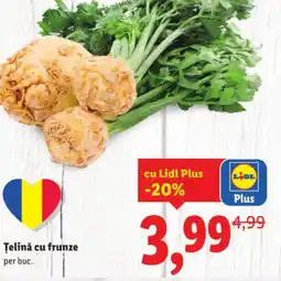 Lidl Țelină cu frunze Ofertă