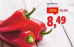 Lidl Ardei capia roşu Ofertă