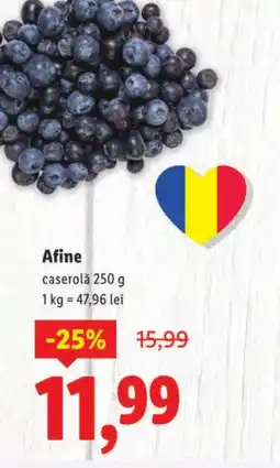 Lidl Afine Ofertă