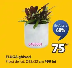 JYSK FLUGA ghiveci Ofertă