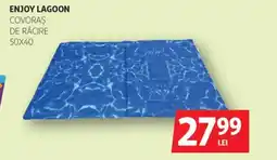 Auchan Enjoy Lagoon covoras de răcire Ofertă