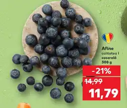 Kaufland Afine Ofertă