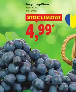 Lidl Struguri negri Venus Ofertă
