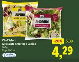 Lidl Chef Select Mix salatǎ Amorino / Lupino Ofertă