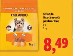 Lidl Orlando Hrană uscată pentru câini Ofertă