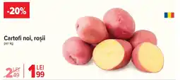 Cartofi noi, roşii