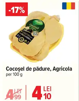 Carrefour Cocoşel de pădure, Agricola Ofertă