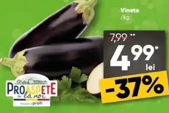 PROFI Vinete Ofertă