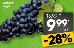 PROFI Struguri negri Ofertă