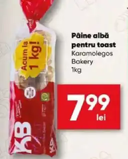 PROFI Pâine albă pentru toast Karamolegos Bakery Ofertă