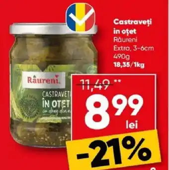 PROFI Castraveţi in oţet Räureni Extra, 3-6cm Ofertă