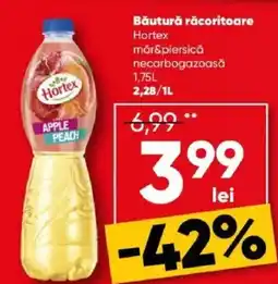 PROFI Băutură răcoritoare Hortex Ofertă