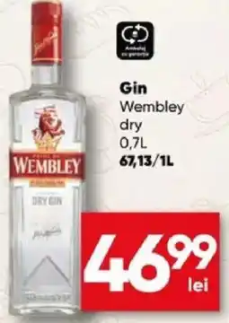 PROFI Gin Wembley dry Ofertă