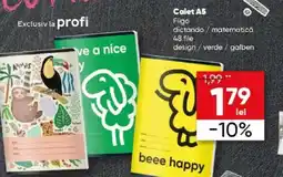 PROFI Caiet A5 Fiigo Ofertă