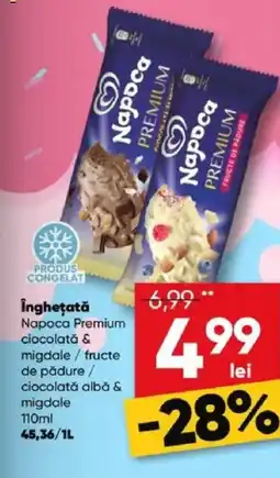 PROFI Îngheţată Napoca Premium Ofertă