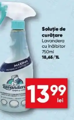 PROFI Soluţie de curăţare Lavandera cu înălbitor Ofertă