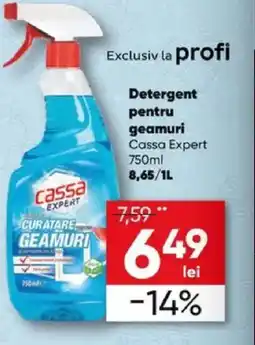 PROFI Detergent pentru geamuri Cassa Expert Ofertă