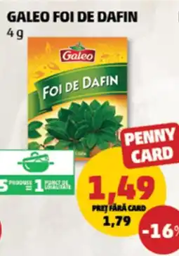 Penny Galeo foi de dafin Ofertă