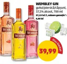 Penny WEMBLEY GIN gutui/piersicǎ/căpşuni, Ofertă