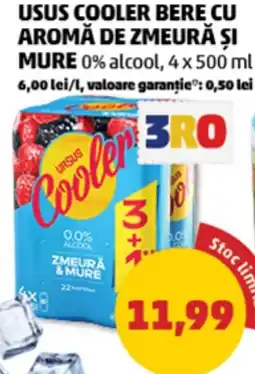 Penny Usus cooler bere cu aromă de zmeură și mure Ofertă