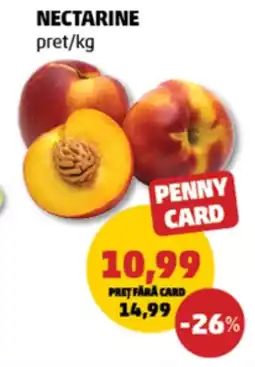 Penny Nectarine Ofertă