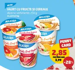 Penny Iaurt cu fructe şi cereale Ofertă