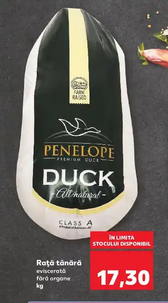 Kaufland Raţă tânără Ofertă