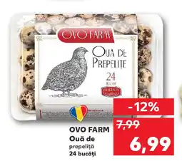 Kaufland OVO FARM Ouă de Ofertă