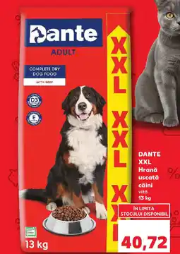 Kaufland DANTE XXL Hrană uscată câini Ofertă