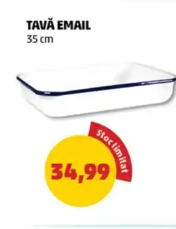 Penny Tavă email Ofertă