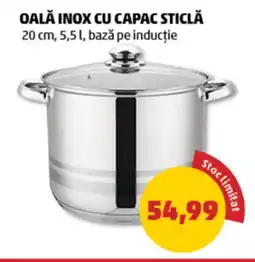 Penny Oală inox cu capac sticlă Ofertă