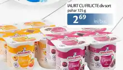 Unicarm Iaurt cu fructe pahar Ofertă