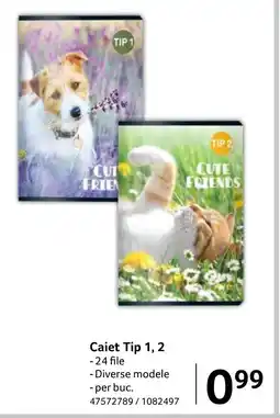 Selgros Caiet Tip 1, 2 - 24 file Ofertă