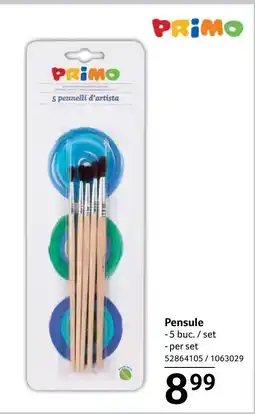Selgros Pensule Ofertă