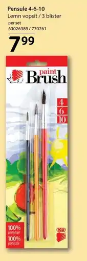 Selgros Pensule 4-6-10 Ofertă