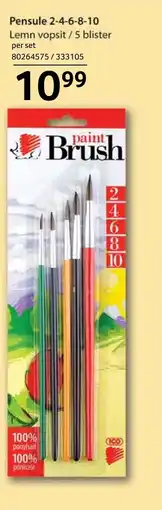 Selgros Pensule 2-4-6-8-10 Ofertă