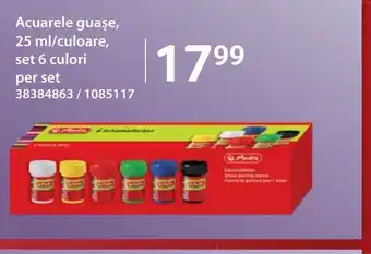Selgros Acuarele guașe /culoare Ofertă
