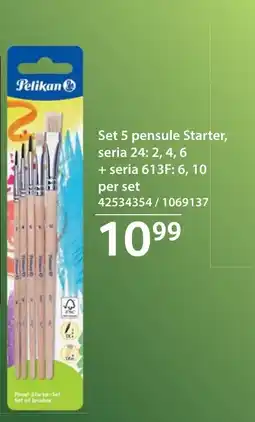 Selgros Pelikan Set 5 pensule Starter Ofertă