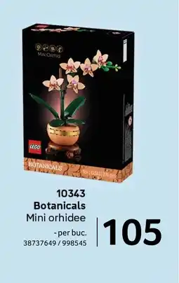 Selgros LEGO 10343 Botanicals Ofertă