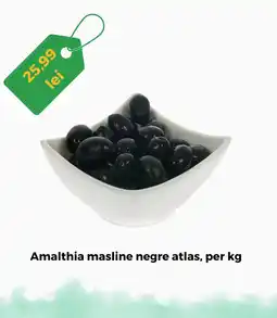 Remarkt Amalthia masline negre atlas Ofertă