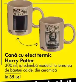 TEDI Cană cu efect termic Harry Potter Ofertă