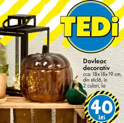 TEDI Dovleac decorativ Ofertă
