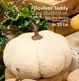 TEDI Dovleac Teddy Ofertă