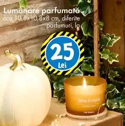 TEDI Lumânare parfumată Ofertă
